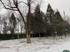 大寒节气北京迎降雪 北京发布道路结冰黄色预警