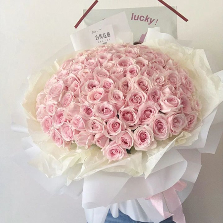 情人节玫瑰花束真实图片高清好看 花不是为了花店开你也不是为了我而来