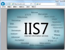 如何备份和恢复IIS6和IIS7的设置