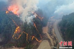 韩国山火烧毁面积超2.3万个足球场 究竟怎么回事?