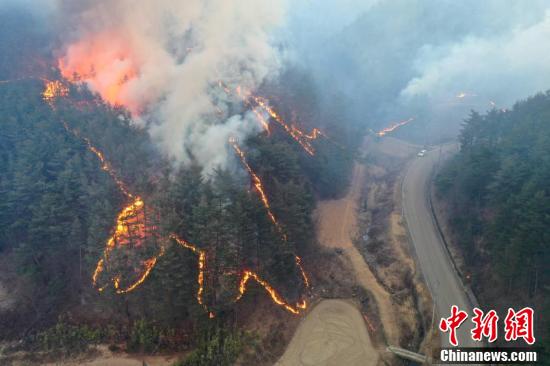 韩国山火烧毁面积超2.3万个足球场 究竟怎么回事?