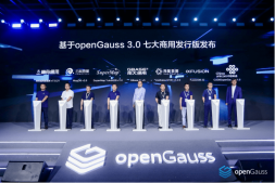 7大openGauss商业版发布，推进规模落地行业核心场景