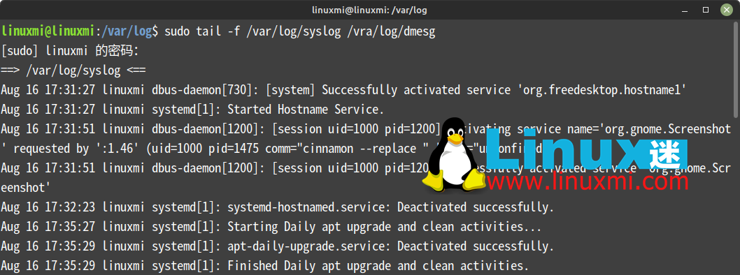 五个你应该知道的 Linux 服务器命令