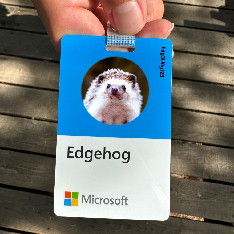 微软 Edge 浏览器吉祥物“EdgeHog”亮相：一只可爱的小刺猬